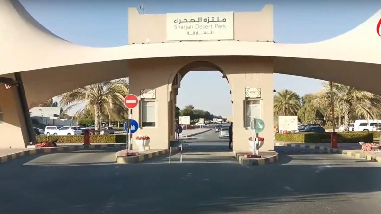 Al Dhaid Zoo SHJ